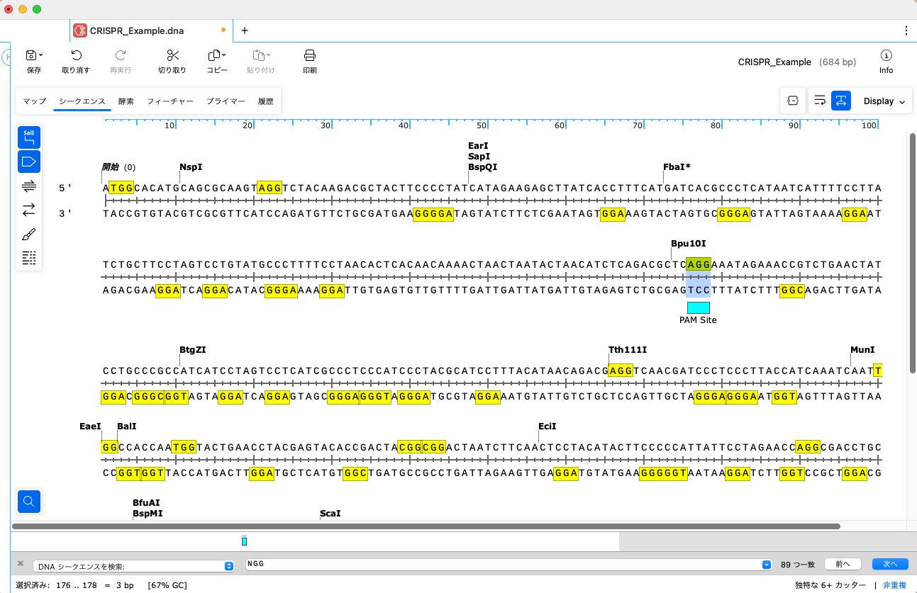 CRISPR:PAMサイトの検索とgRNAの設計4